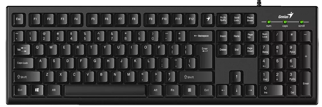 TECLADO GENIUS KB 100 USB