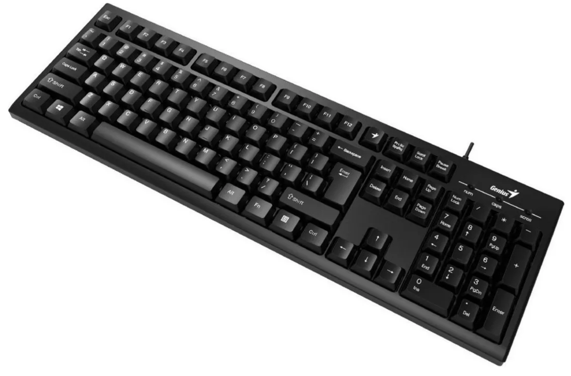 TECLADO GENIUS KB 100 USB