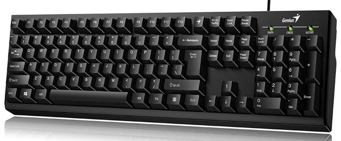 TECLADO GENIUS KB 100 USB